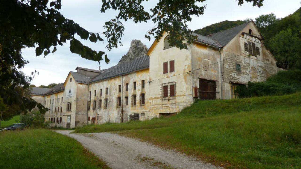 Das Brauereigebäude vor dem Brand.  