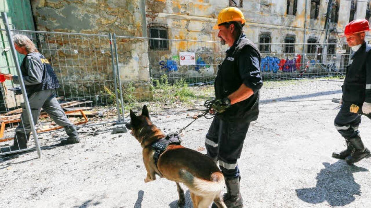 Die Brandermittler setzten Spürhunde ein.  