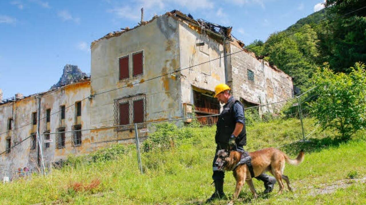 Die Brandermittler setzten Spürhunde ein.  