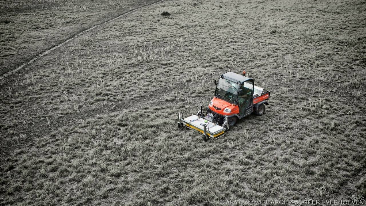 Archäologie in Österreich mit 55 Millionen Umsatz