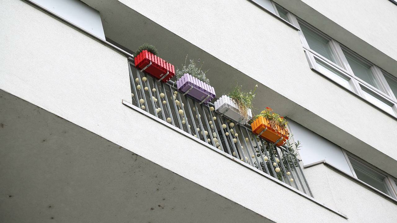 A schöne Leich am Donaukanal