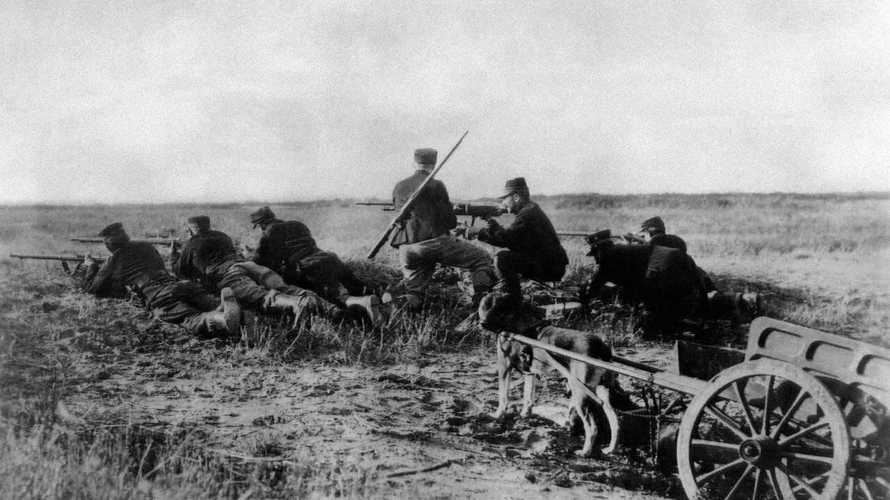 "Verlustlisten" aus dem Ersten Weltkrieg helfen Forschern