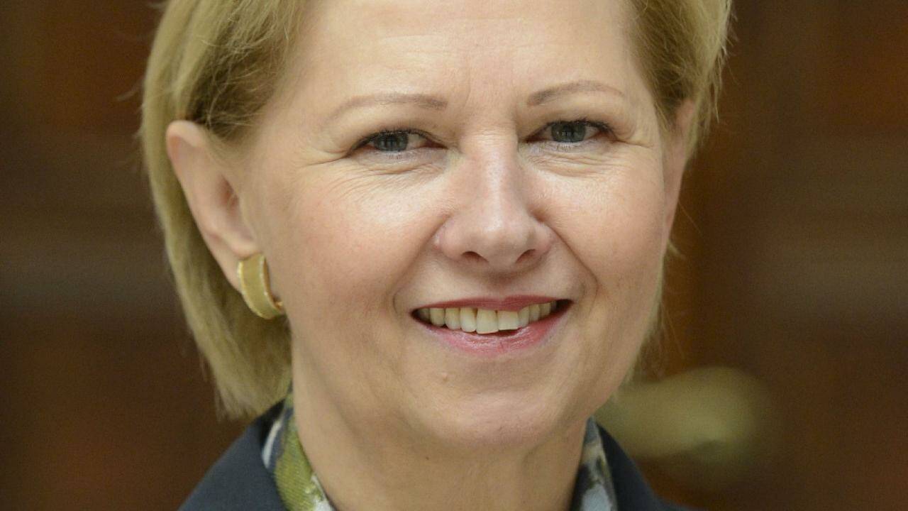 Die Spitzenverdiener im Nationalrat