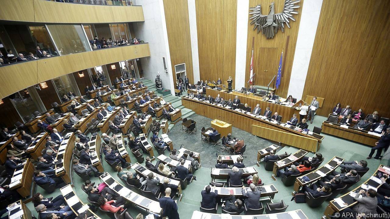 Die Spitzenverdiener im Nationalrat