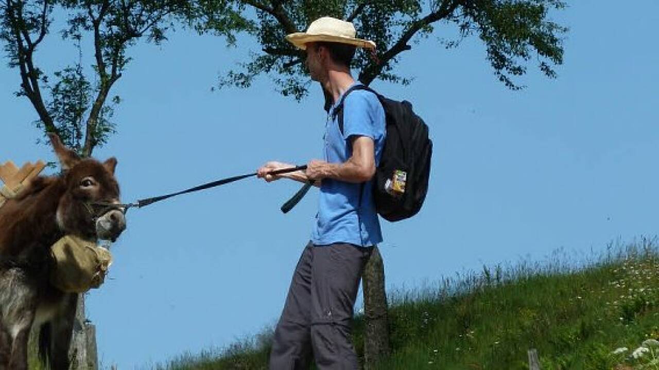 Steiermark: Mit dem Esel über die Weinberge