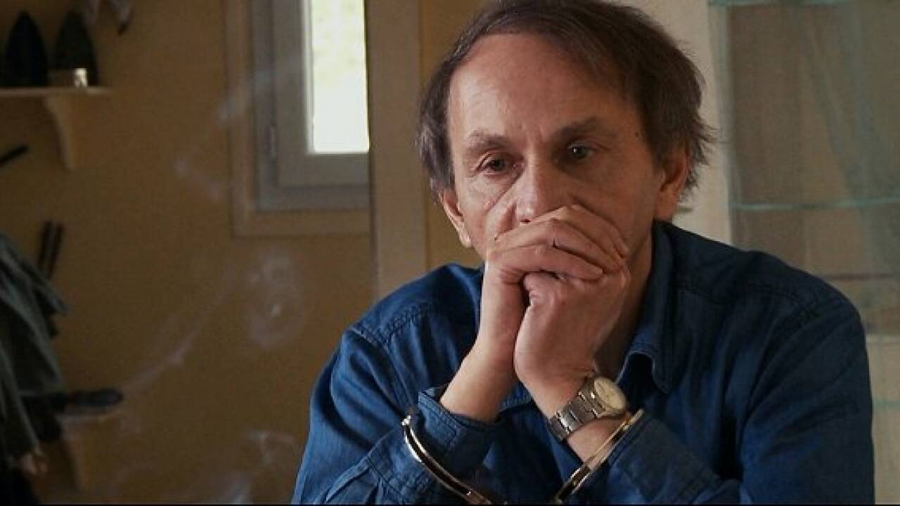 Kino: "Die Entführung des Michel Houellebecq"