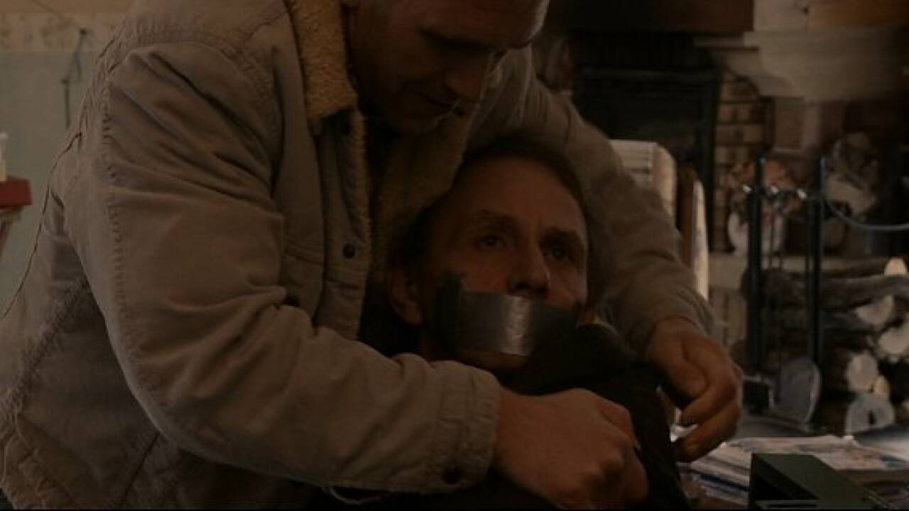 Kino: "Die Entführung des Michel Houellebecq"