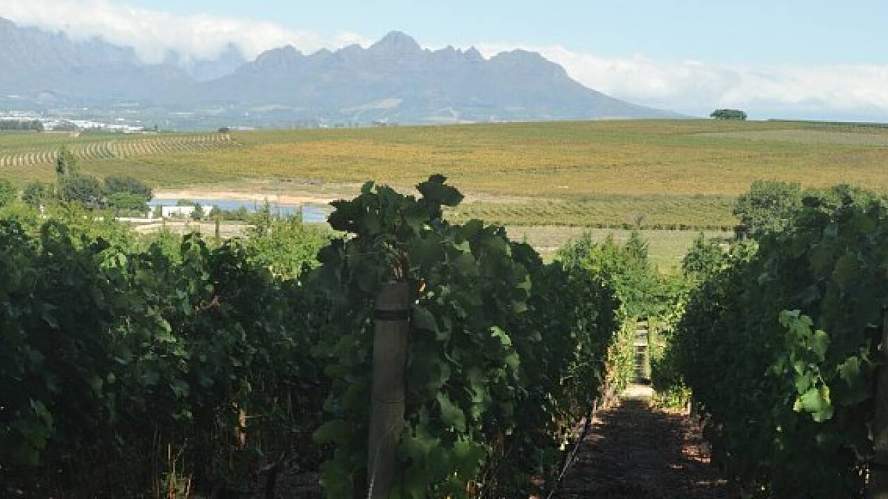 Südafrikanischer Wein, der Mozart lauschte
