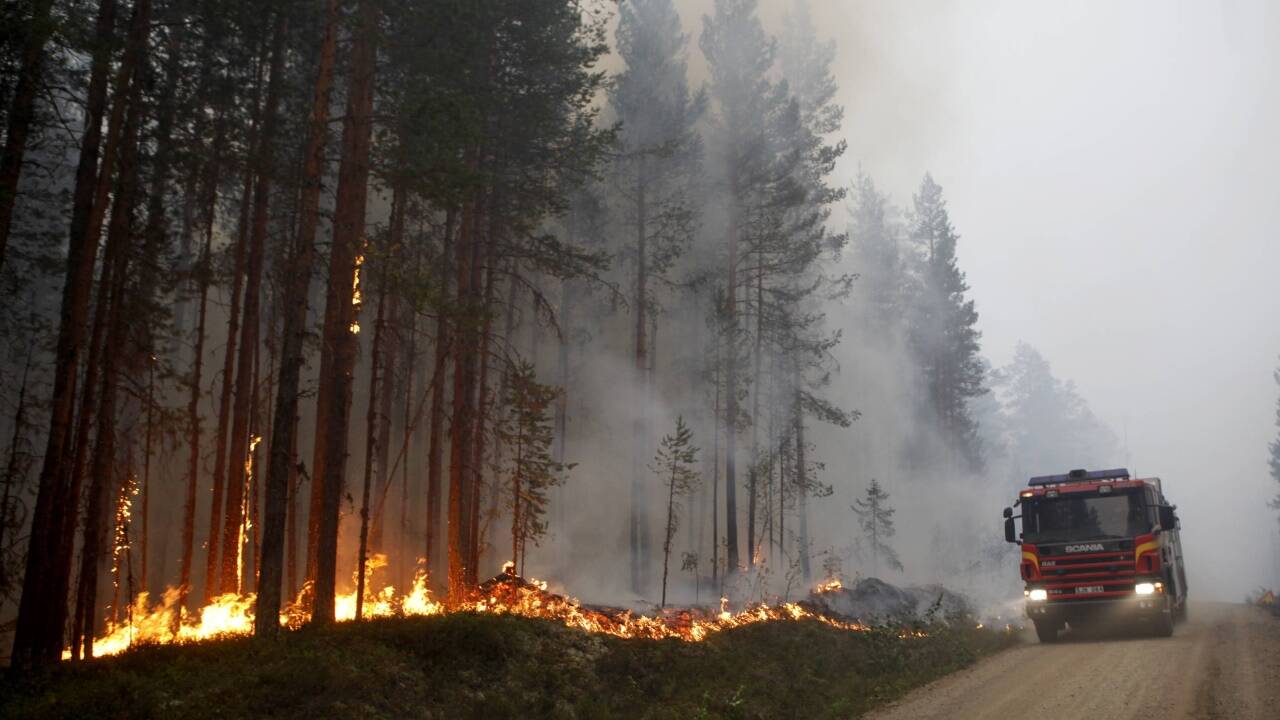 Waldbrand in Karbole (Schweden). 