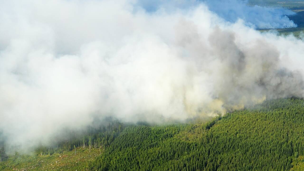 Waldbrand in Ljusdal (Schweden). 