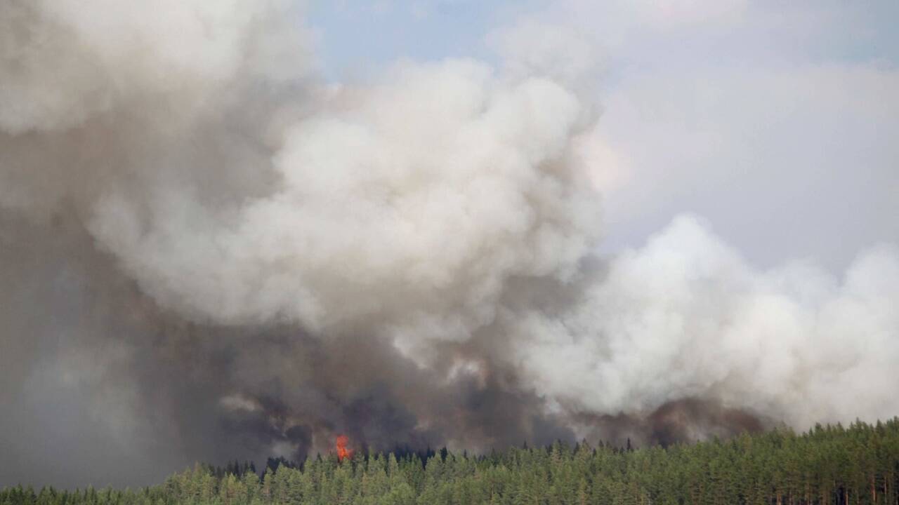 Waldbrand in Hammarstrand (Schweden). 