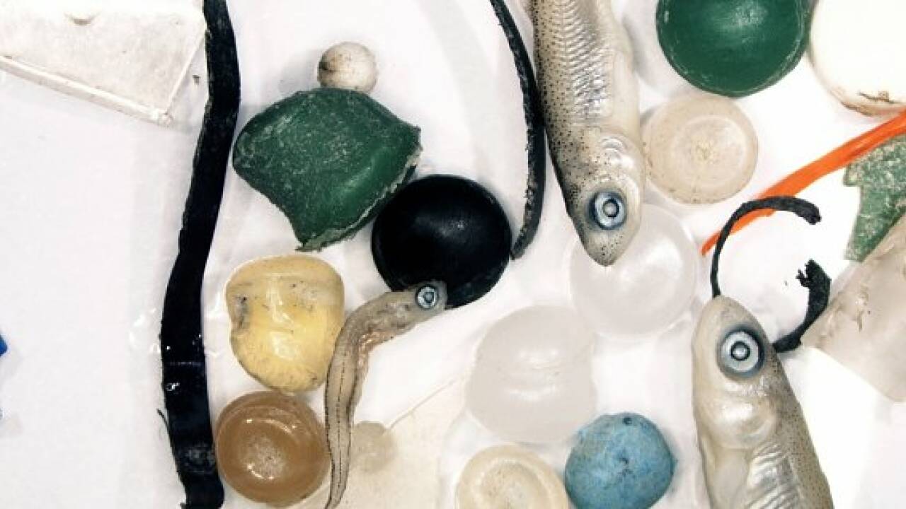 Vorwürfe gegen Borealis wegen Plastikmülls