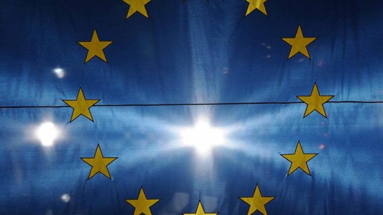 EU-Wahl: Europas Grüne mit gemeinsamem Programm