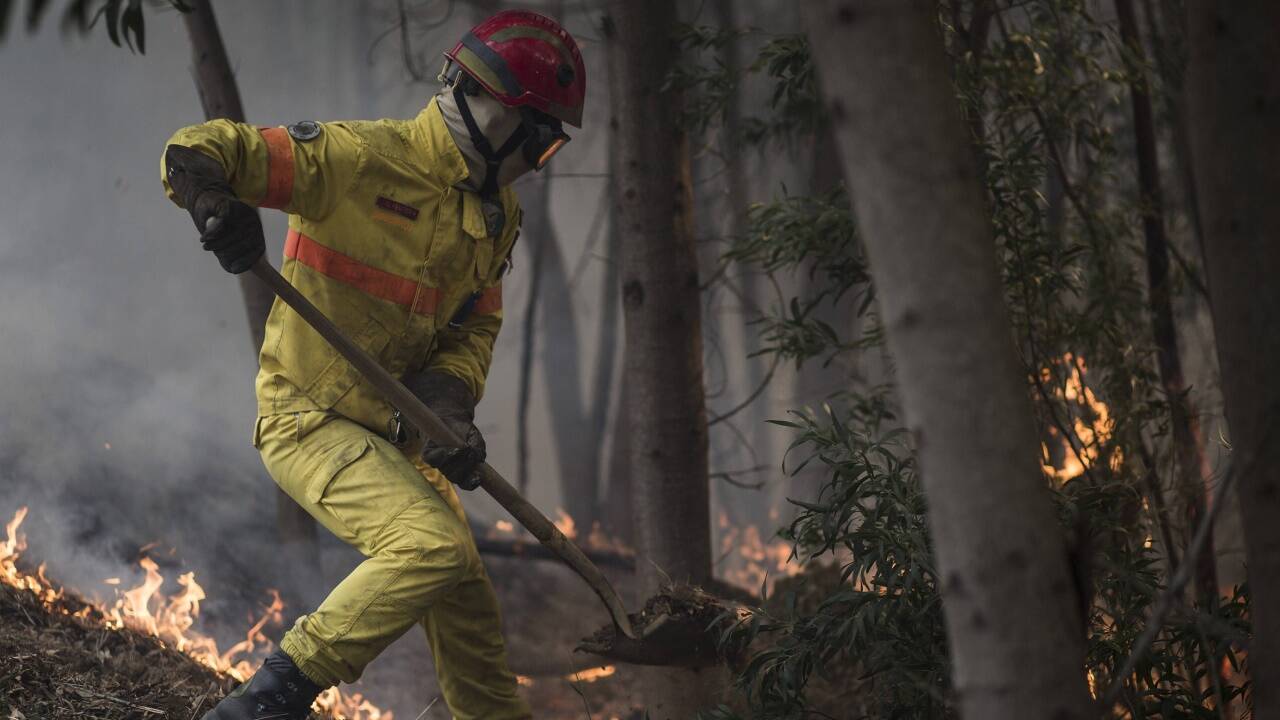 Kampf gegen den Waldbrand in Monchique (Algarve/Portugal). 