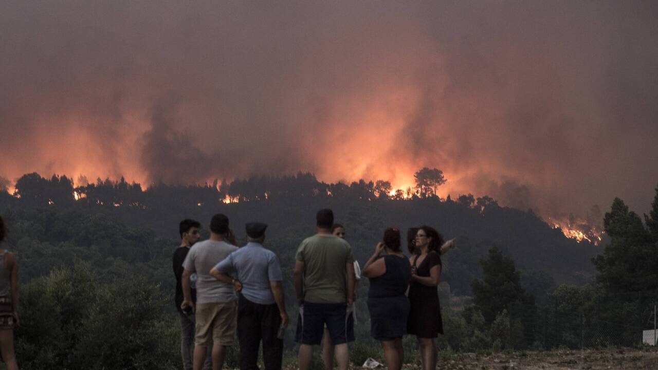 Waldbrand in Monchique (Algarve/Portugal). 