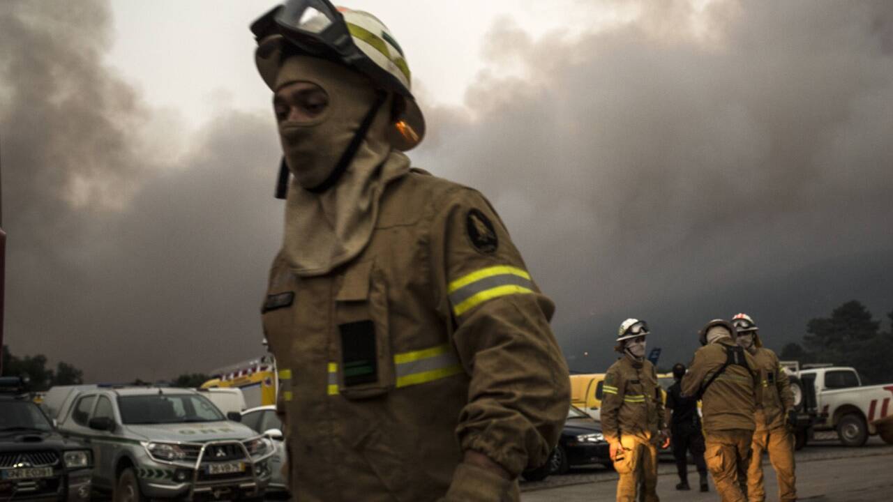 Kampf gegen den Waldbrand in Monchique (Algarve/Portugal). 