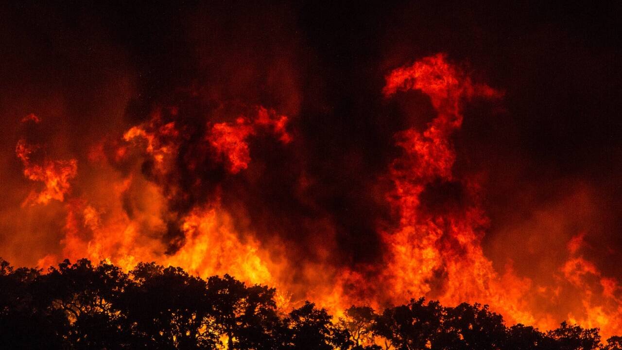 Waldbrand in Monchique (Algarve/Portugal). 