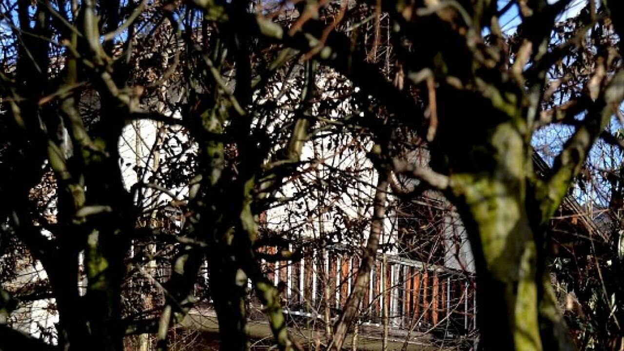 Monet und Picasso: 60 Gurlitt-Bilder in Salzburg entdeckt