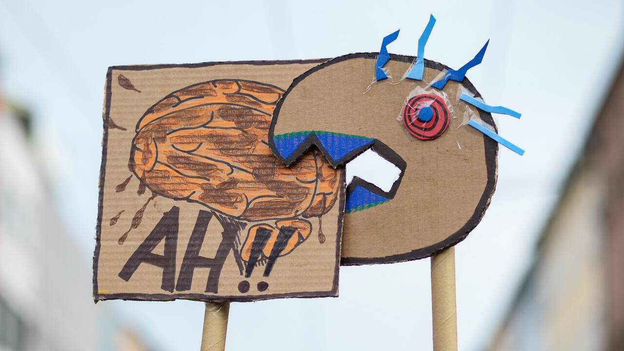 Bei ihren erklärten Feinden darf die Demokratie ruhig bissig sein. Das Foto stammt von einer Kundgebung in Würzburg gegen braune Umtriebe. 