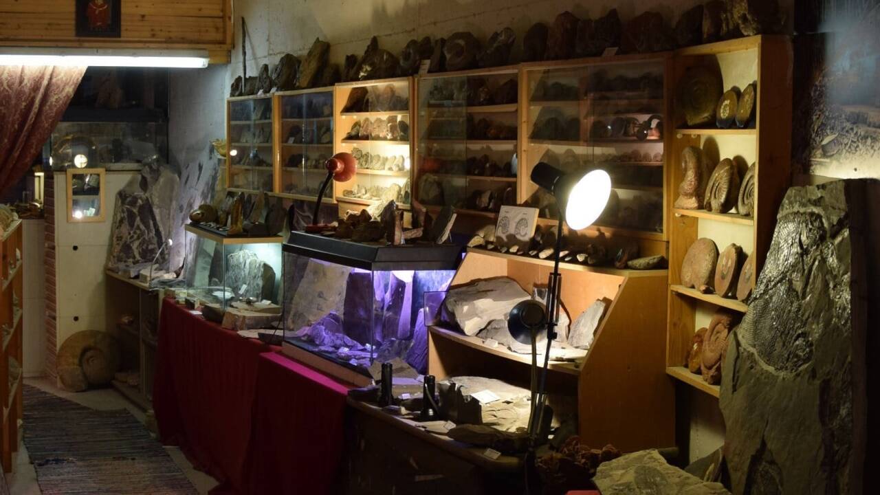 Ein Teil der Ausstellung in Gerhard Wolfs Privatmuseum. 