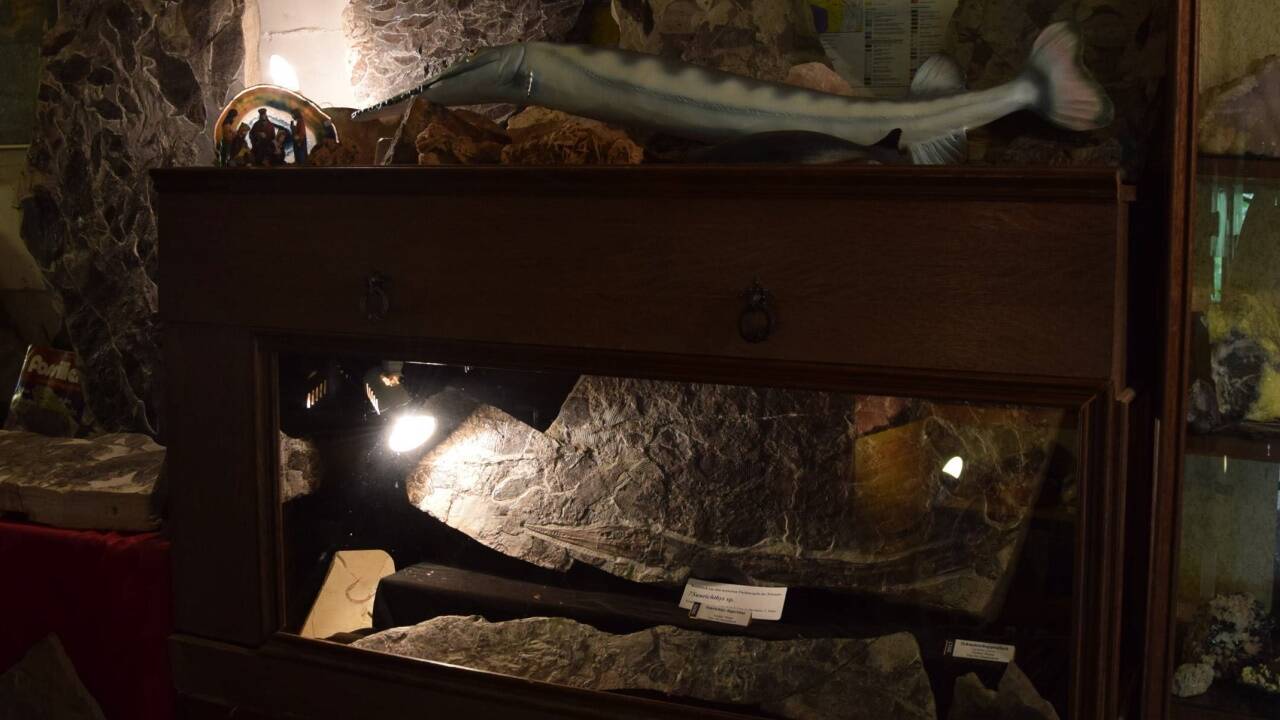 Ein versteinerter Fisch und seine originalgetreue Nachbildung (oben). 