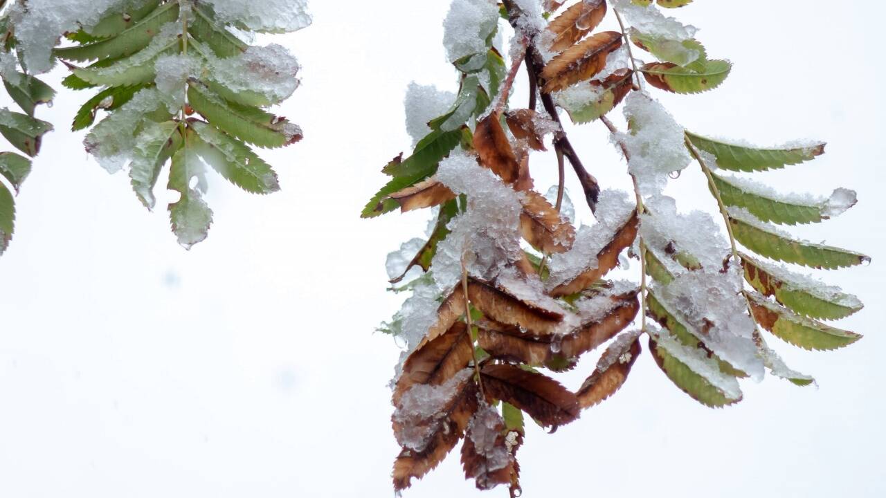 Erste Grüße des Winters – wie hier am Sonntag in Bad Gastein. 