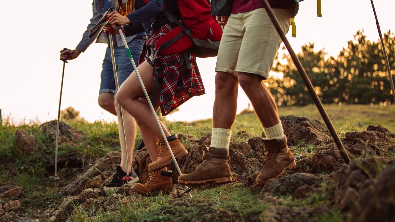 Wandern macht Immunzellen fit.  Wandern macht Immunzellen fit.