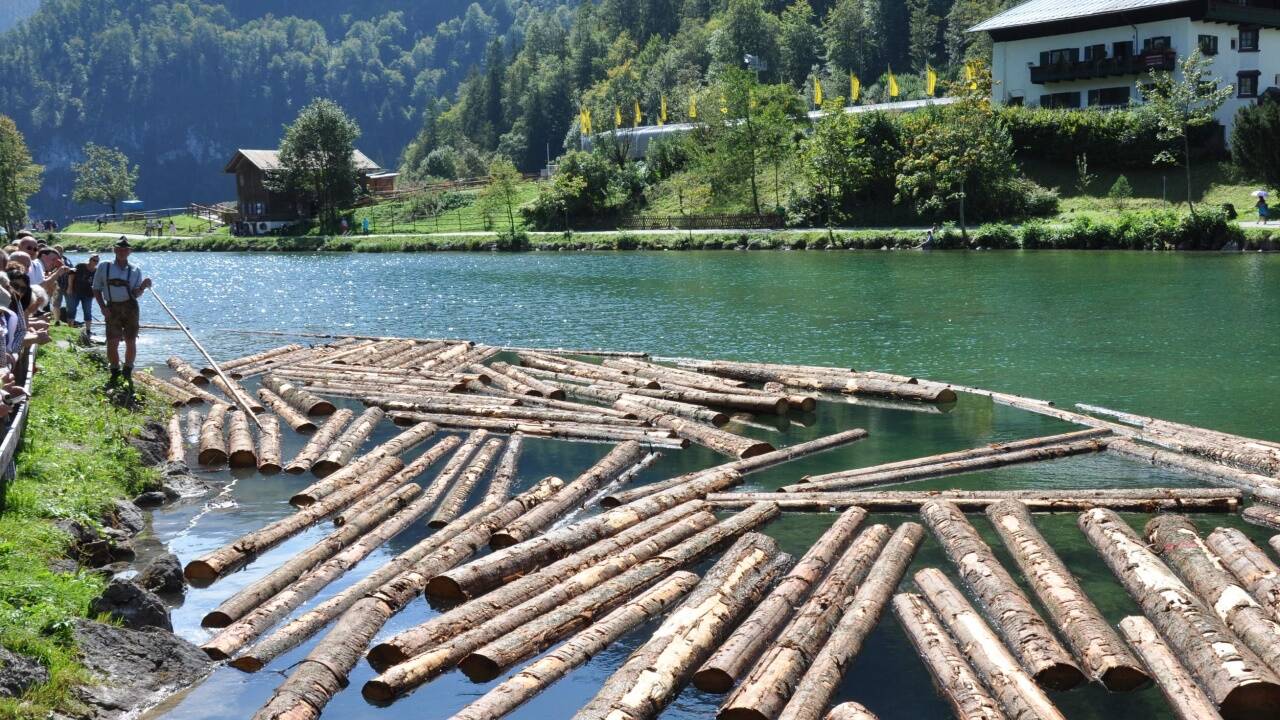 In der Seeklause am Königssee warten die Baumstämme auf ihren Transport. 