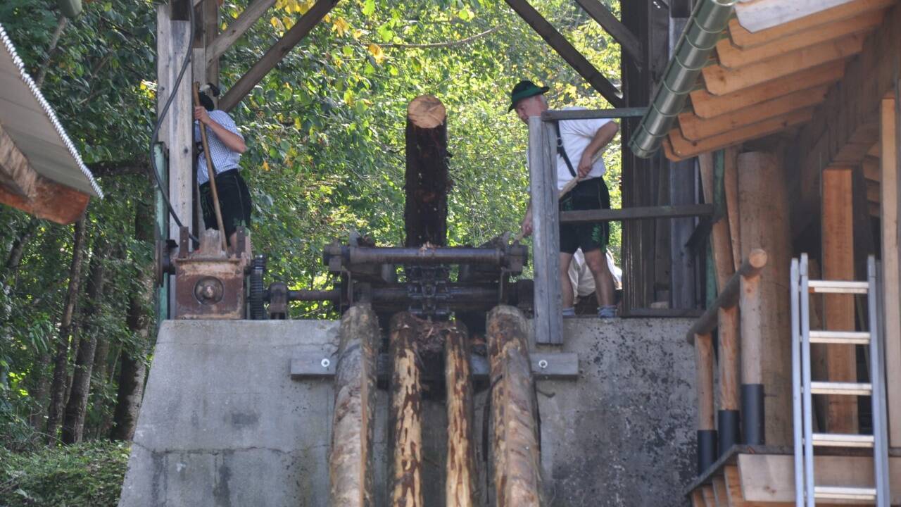 Ein Baumstamm ist am Ende der Triftrinne angekommen und wird von Holzknechten am Triftplatz empfangen.  