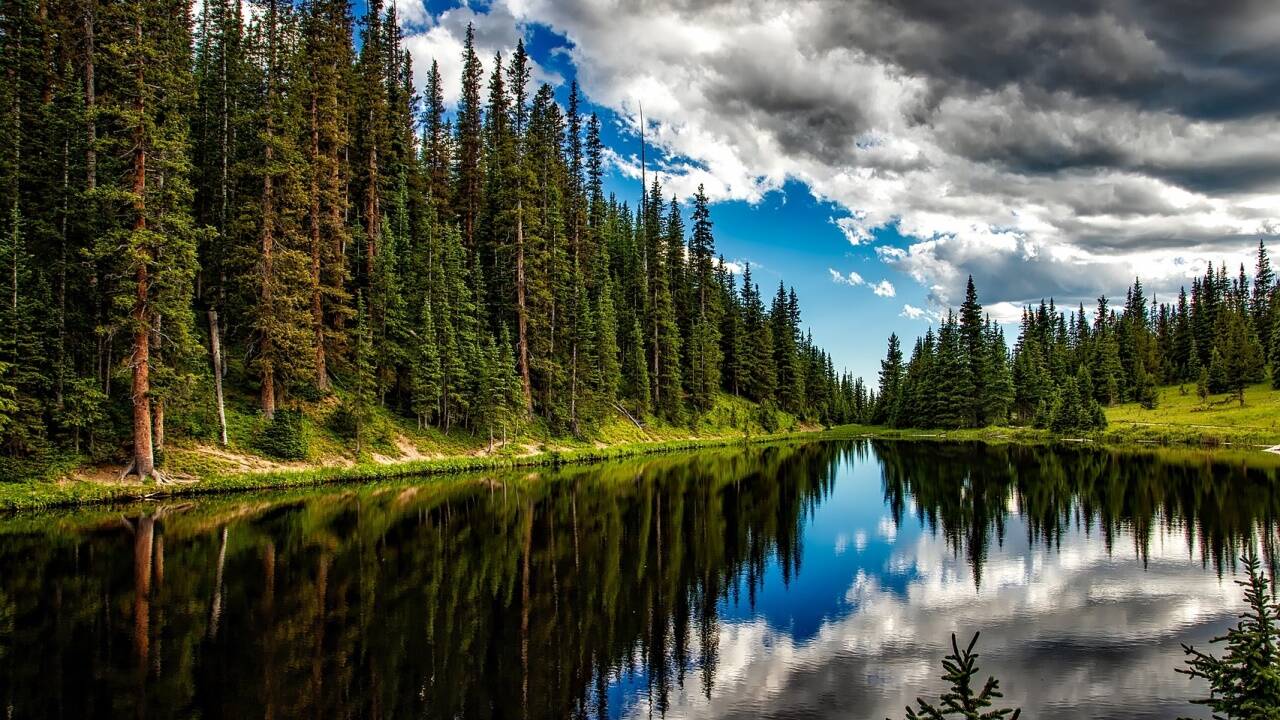 Wasser und Wälder leiden unter der ständigen Umweltverschmutzung durch die Menschheit.  