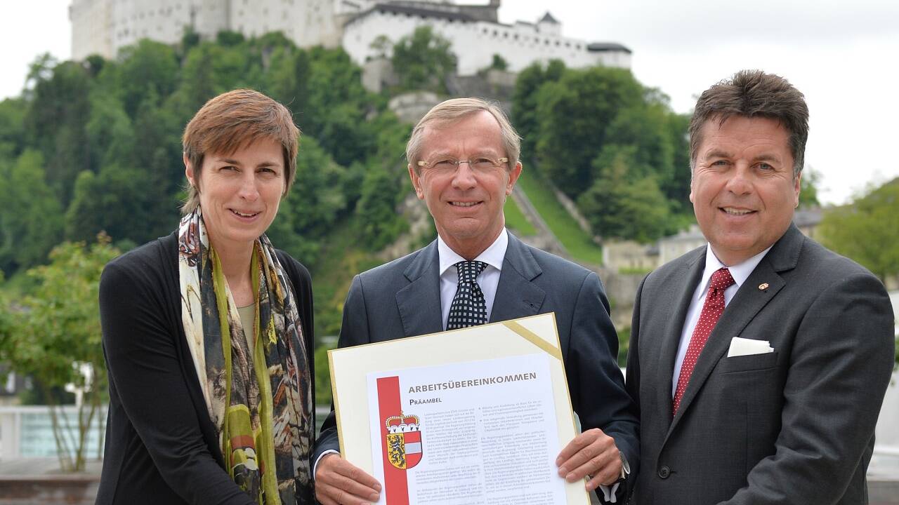 Im Juni 2013 wurde Mayr Landesrat in der schwarz-grünen Regierung.  