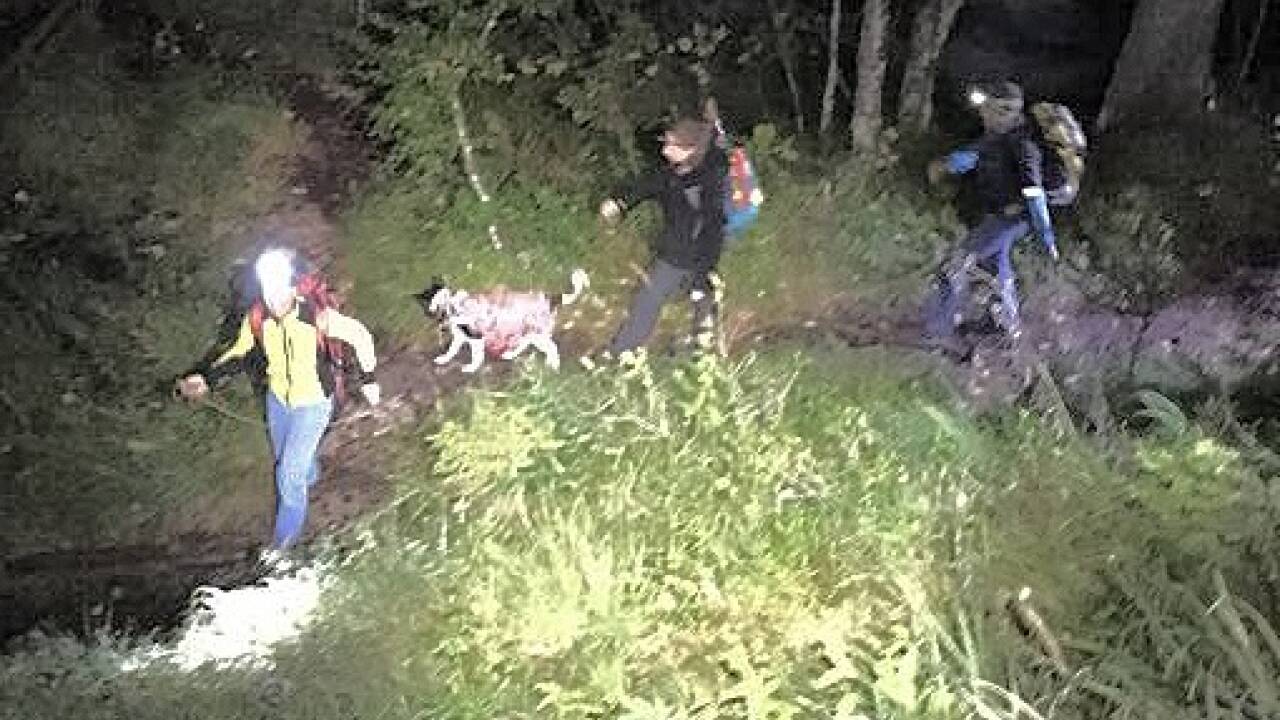 Die Bergrettung Saalfelden musste diesmal einen verängstigten Hund bergen. 