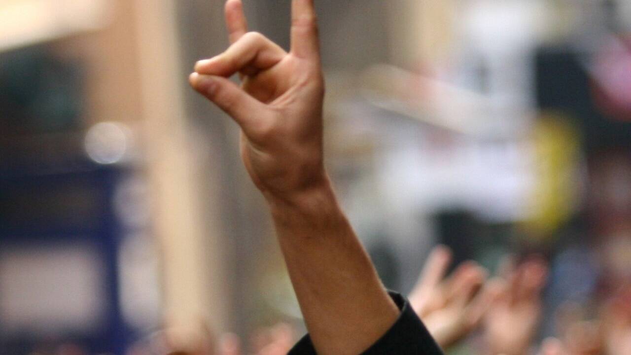 Der Gruß der rechtsextremen und türkisch-nationalisitischen „Grauen Wölfe“ soll verboten werden.  Der Gruß der rechtsextremen und türkisch-nationalisitischen „Grauen Wölfe“ soll verboten werden.