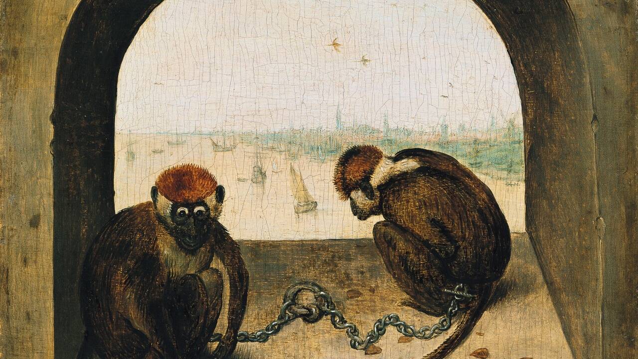 Zwei angekettete Affen, 1562, Eichenholz, Staatliche Museen zu Berlin, Gemäldegalerie © Staatliche Museen zu Berlin, Gemäldegalerie / Christoph Schmidt  Zwei angekettete Affen, 1562, Eichenholz, Staatliche Museen zu Berlin, Gemäldegalerie © Staatliche Museen zu Berlin, Gemäldegalerie / Christoph Schmidt