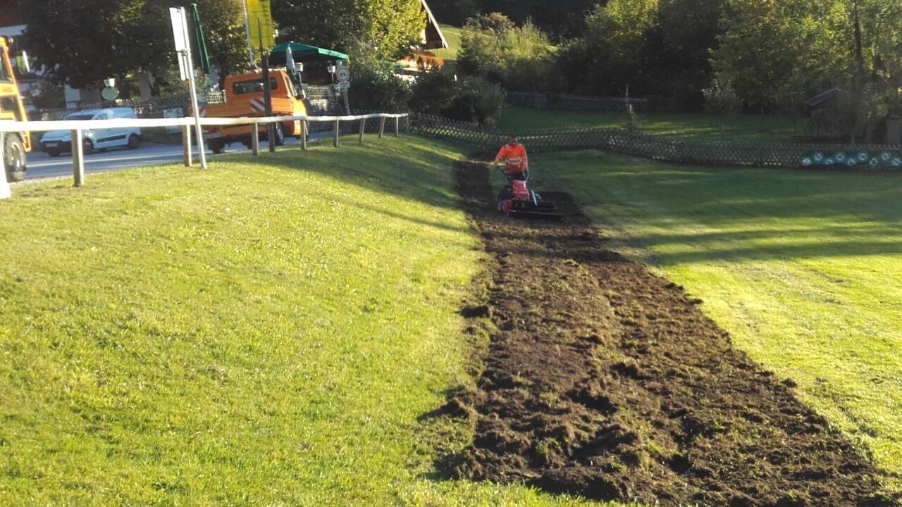 Derzeit will man dem Problem mit dem umgraben der Wiese Herr werden. 