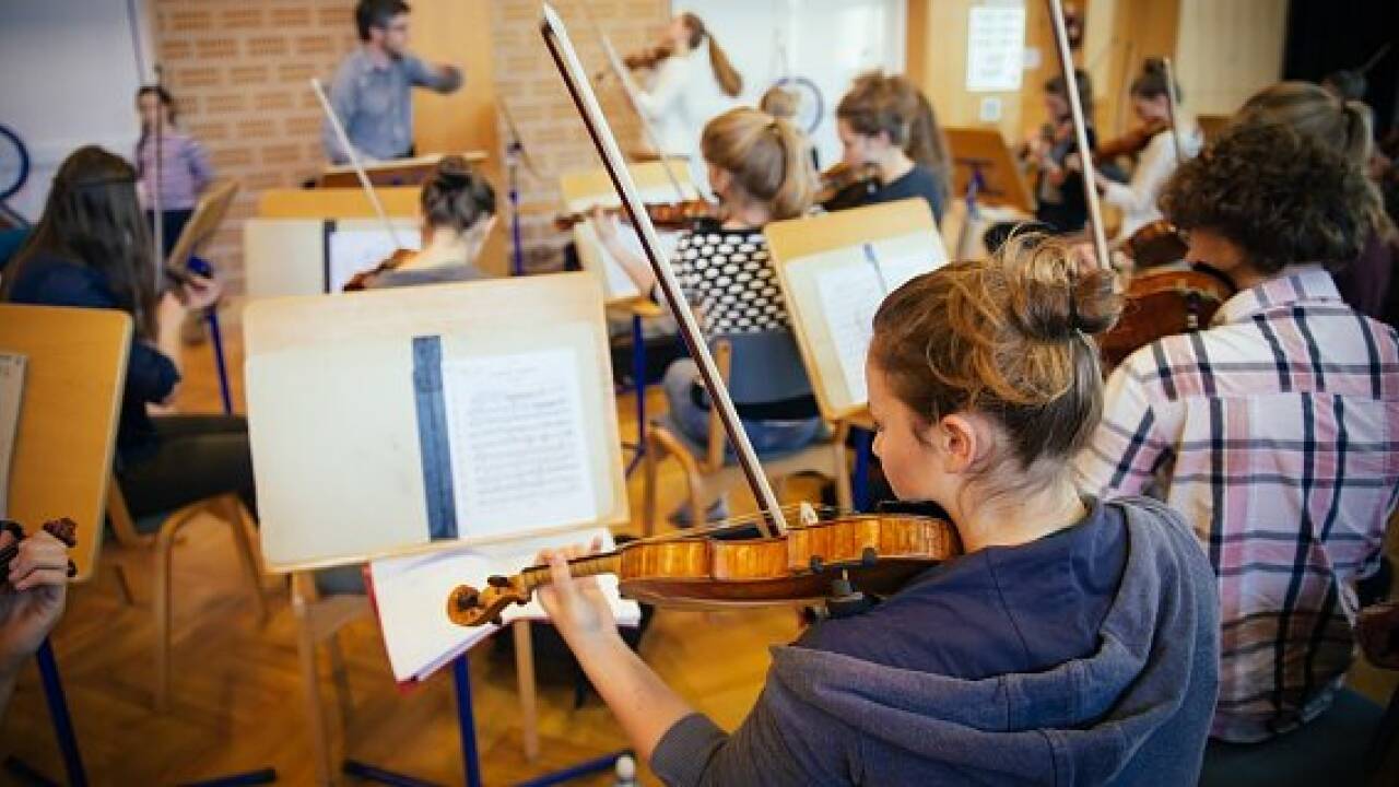 Das Gymnasium: Kaderschmiede oder Schule für die Massen?
