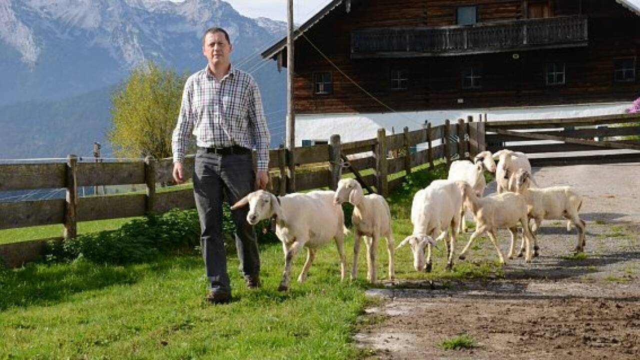 Vom Schaf zur Jacke