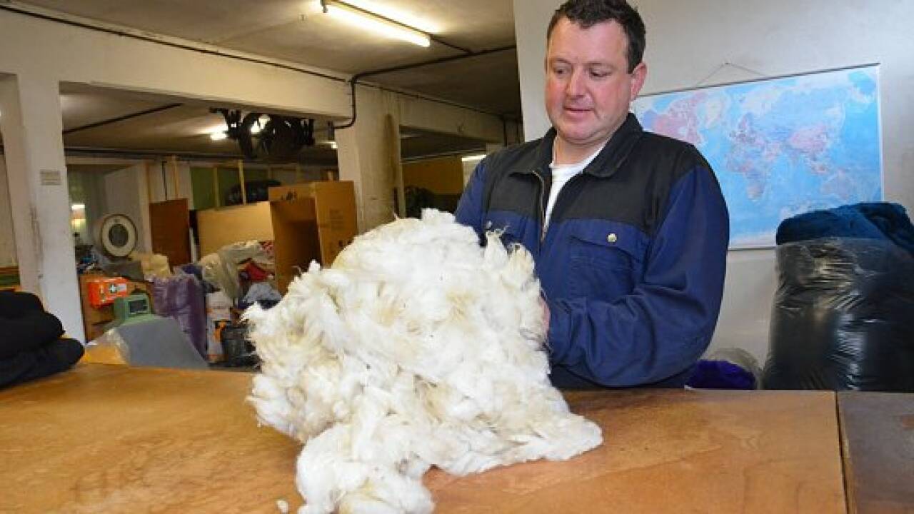 Vom Schaf zur Jacke