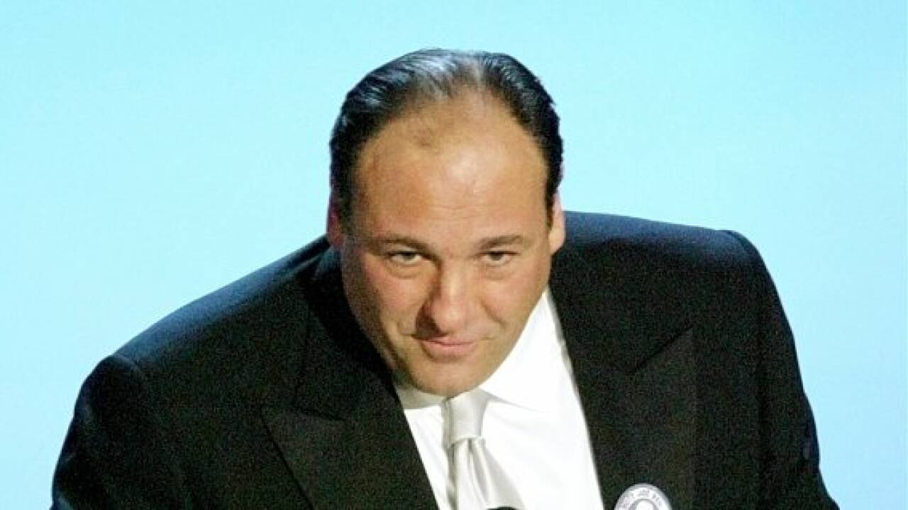 "Sopranos"-Oberhaupt James Gandolfini gestorben