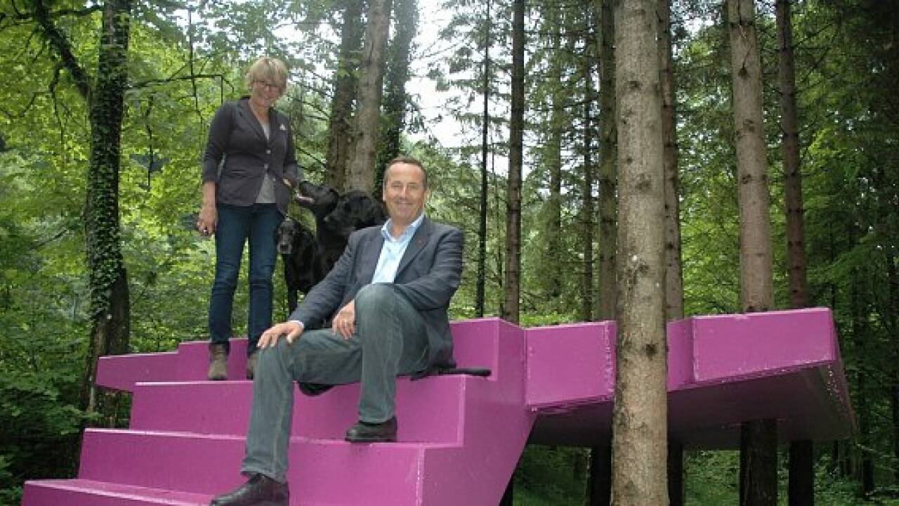 Rosa Stiege mitten im Wald
