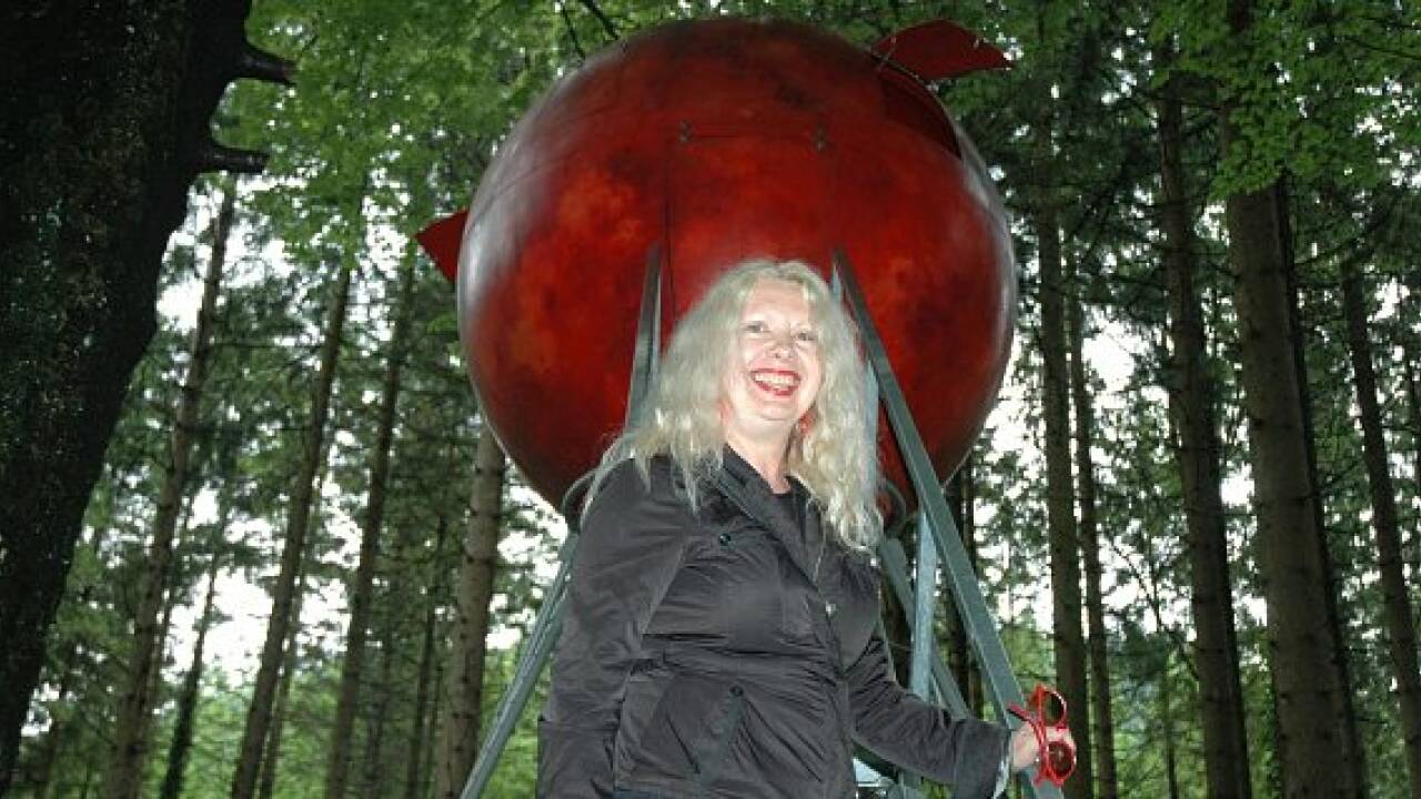 Rosa Stiege mitten im Wald