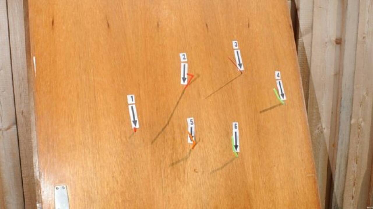 Verdächtiger nach Schüssen auf Nachbar in Haft
