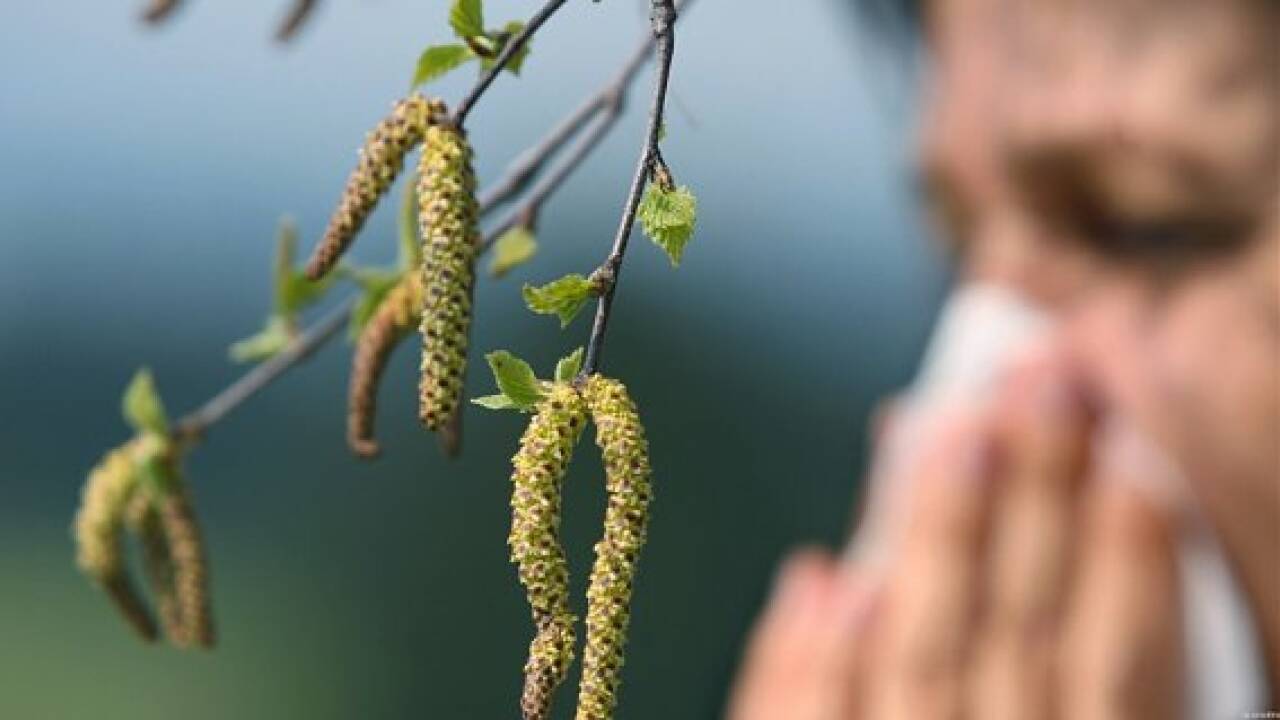 Jeder Vierte bezeichnet sich als Pollen-Allergiker
