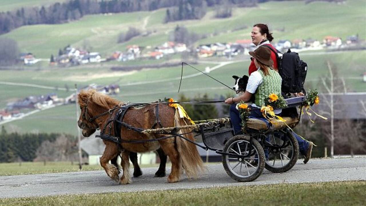 Georgiritt in Neumarkt: Wallach "Rico" trug den hl. Georg