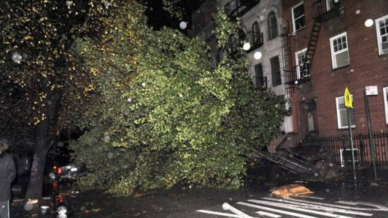 Hurrikan Sandy fegt über die USA - Zahl der Toten steigt