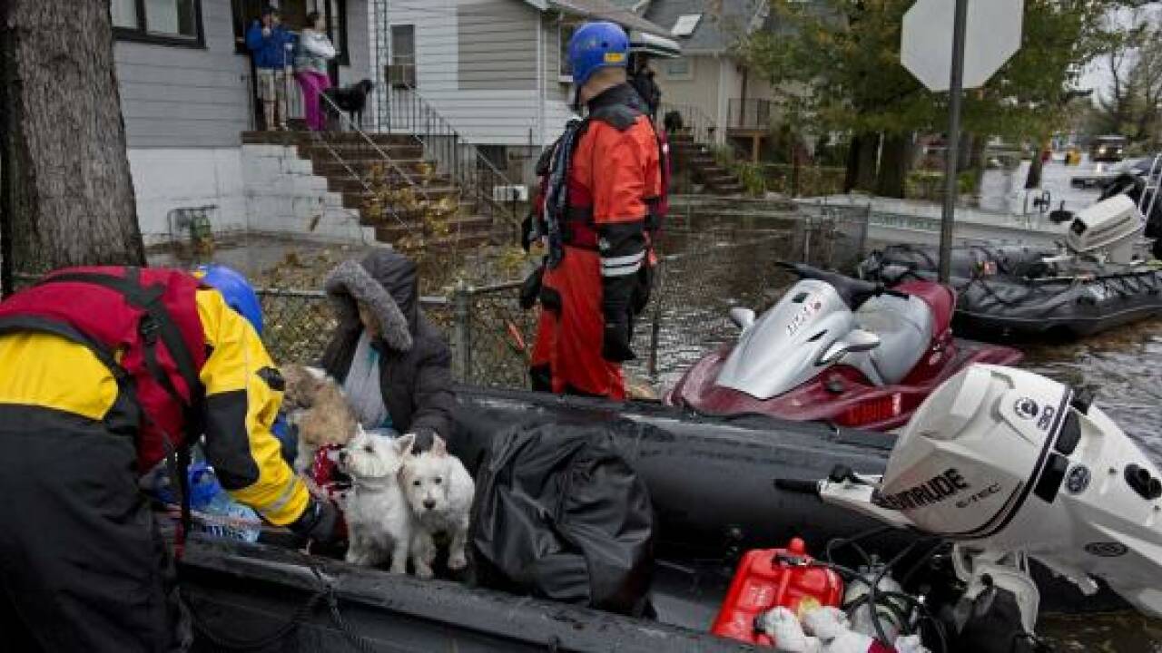 Hurrikan Sandy fegt über die USA - Zahl der Toten steigt