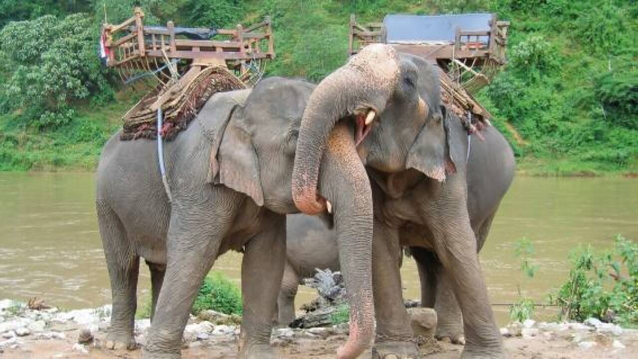 Frauenreise Thailand