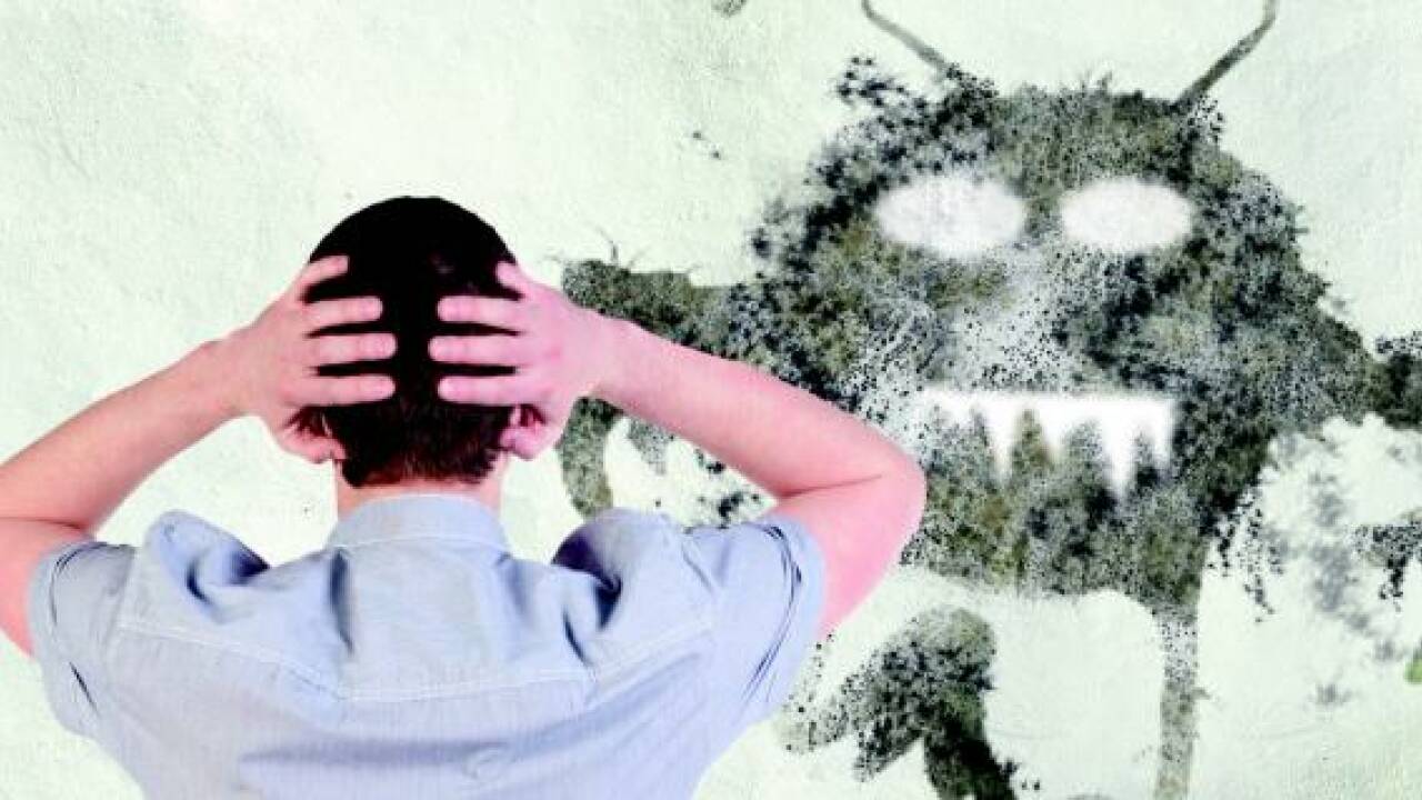 Schreckgespenst Schimmel - was tun?
