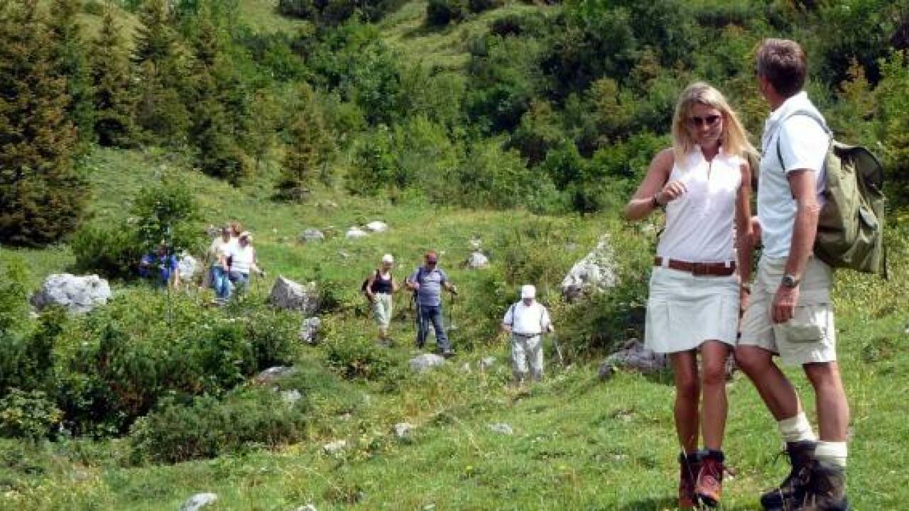 Wandern in Rußbach