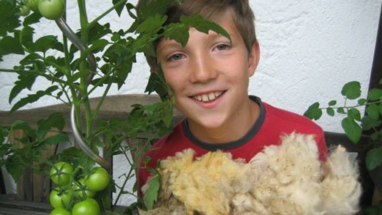 Sommer: Leben im Grünen